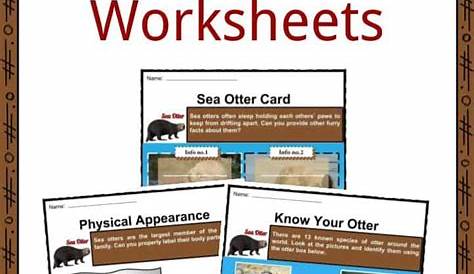 50 Unbelievable Fun Facts About Sea Otters: Ultimate Guide 2023