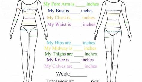 women's body measurements chart