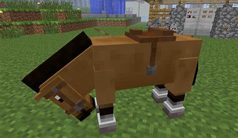 how to ride horse in minecraft