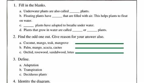 Adaptation in Plants Class 4 Worksheets: A Comprehensive Guide