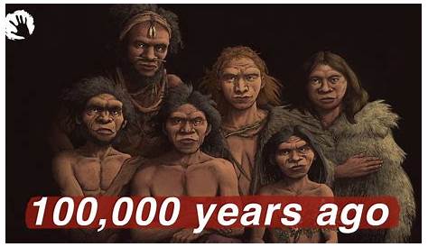 Humanity 100,000 Years Ago - Life In The Paleolithic - 40 Day Shape Up