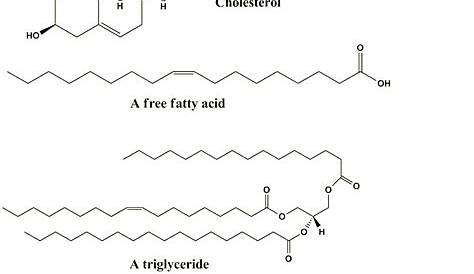 which of the following are lipids weegy