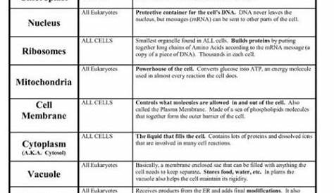 Cells And Their Organelles Worksheet | Science cells, Biology worksheet