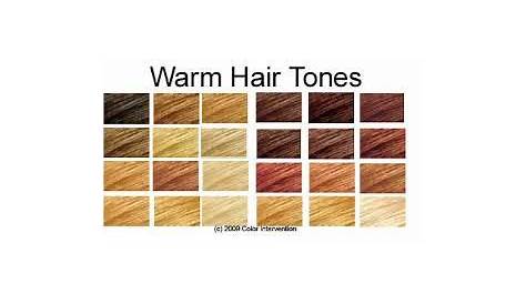warm hair colors chart
