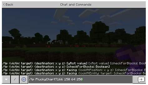 Cómo usar el comando TP (TelePort) en Minecraft, comandos