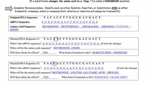 gene mutations worksheet key