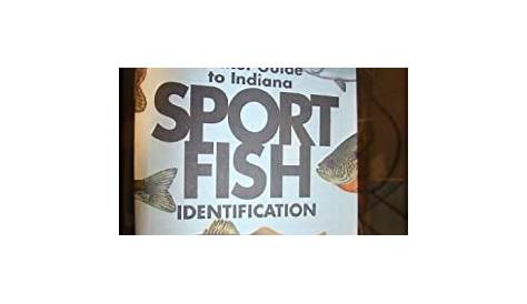 A Pocket Guide to Indiana Sport Fish Identification (Pamphlet - 2001