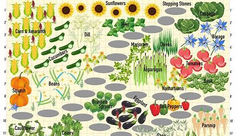 vegetable garden planting chart