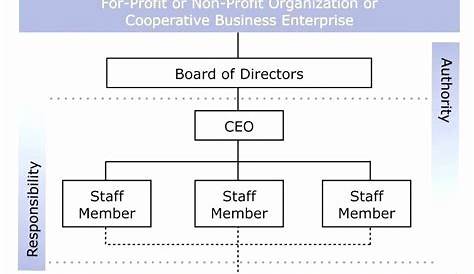 Nonprofit organizational Chart Template New Nonprofit organizational