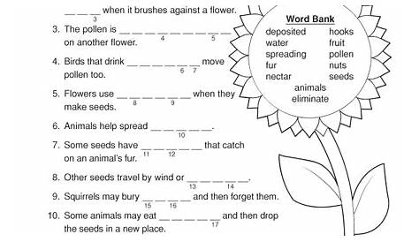 3rd Grade Science Plants Worksheets - Worksheets Master