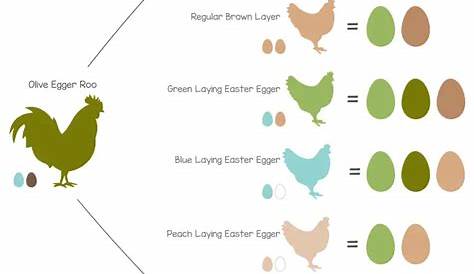 easter egger egg color chart