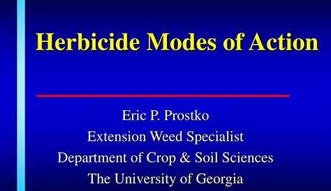 herbicide mode of action groups