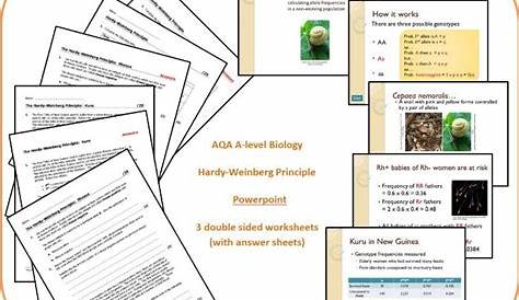 hardy weinberg worksheets