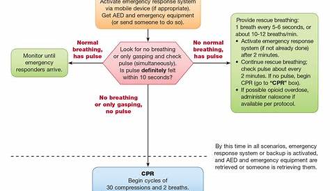 Bls Provider Manual Pdf