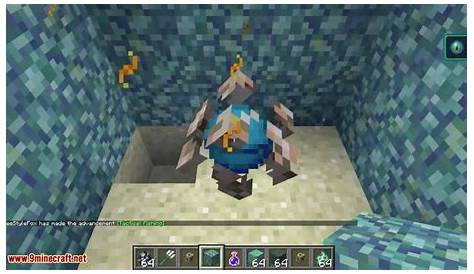 what can a heart of the sea do in minecraft