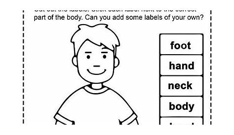 Free Labeling Of Body Movements - Jcm Free Full Text Machine Learning