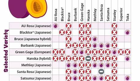 fruit tree pollination groups