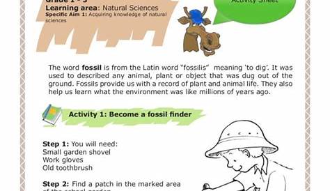 Fossils: Fossils Worksheet