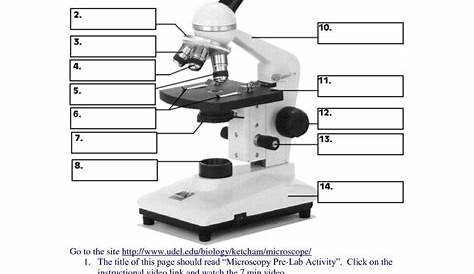 Microscope Parts Worksheet Excel Worksheet Prime — db-excel.com