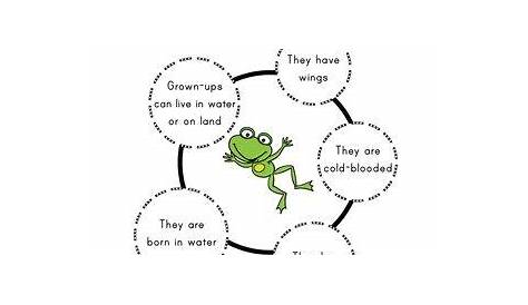 amphibians vs reptiles worksheet