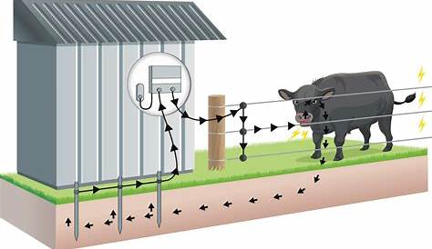 Electric Fence Wiring Diagram