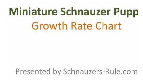 giant schnauzer growth chart