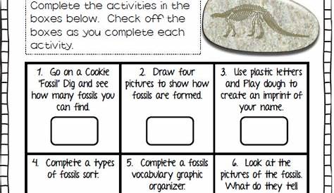 Fossil Worksheet For 3rd Grade