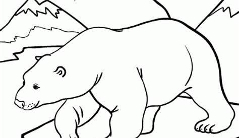 20+ Free Printable Polar Bear Coloring Pages - EverFreeColoring.com
