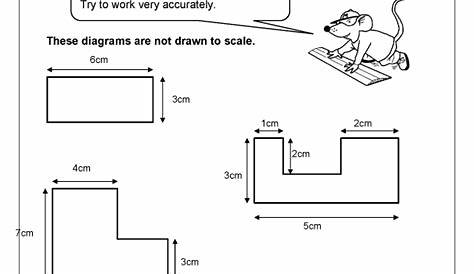 scale drawing worksheets
