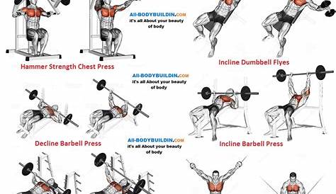 gym chest workout chart