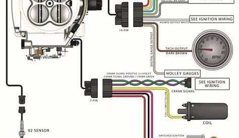 Holley Fuel Injection Wiring Diagram - Wiring Diagram