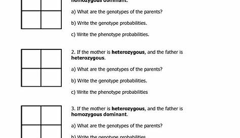 punnett square practice worksheets answers biology