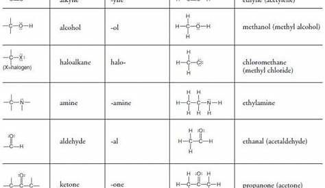 ️Functional Groups Worksheet With Answers Free Download| Gmbar.co