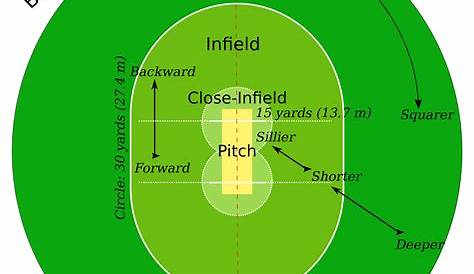 AmeriNZ Blog: C is for cricket