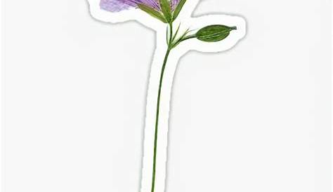 purple flower sticker | Cool stickers, Aesthetic stickers, Scrapbook