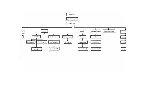 what does an organization chart show