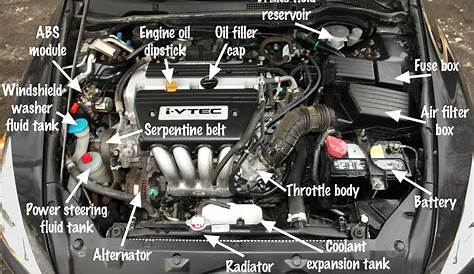 Labeled Under The Hood Of A Car Diagram
