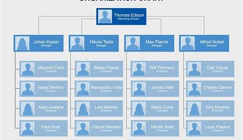 blank organizational chart template free