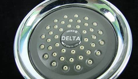 Delta Stainless Steel A112.18.1M Shower Head Chrome Shower Head 2.0 GPM