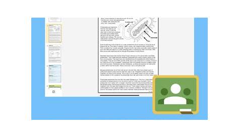 Prokaryotic and Eukaryotic Cells Worksheet with Answer Key - Laney Lee