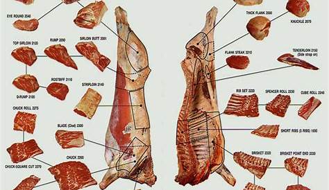 veal meat cuts chart