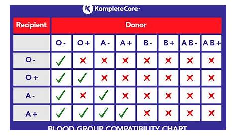Blood Type Compatibility Chart for Marriage and Pregnancy