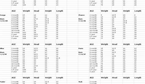 weight chart english bulldog