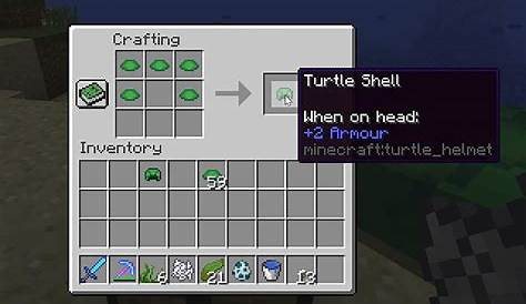 how to make turtles mate in minecraft