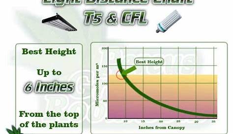 grow light distance chart tomatoes