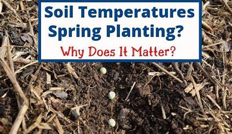 soil temperature for vegetables