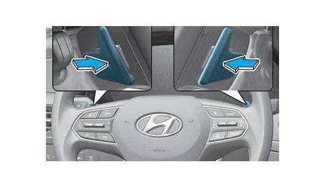 Hyundai Palisade - Paddle Shifter (Manual Shift Mode) - Automatic