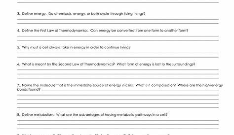 14 Enzyme Practice Worksheet Answers / worksheeto.com