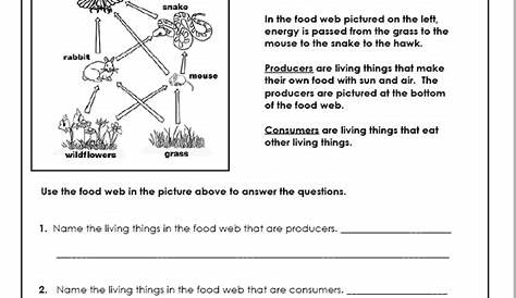 4th Grade Ecosystem Worksheet Grade 4 - Worksheets Joy