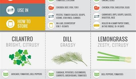 herb chart for cooking